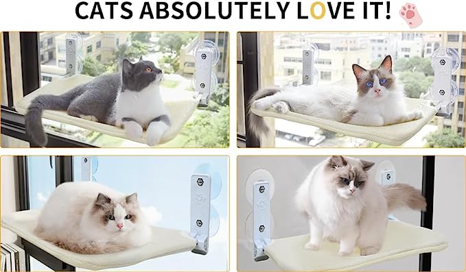 Cat Window Perch