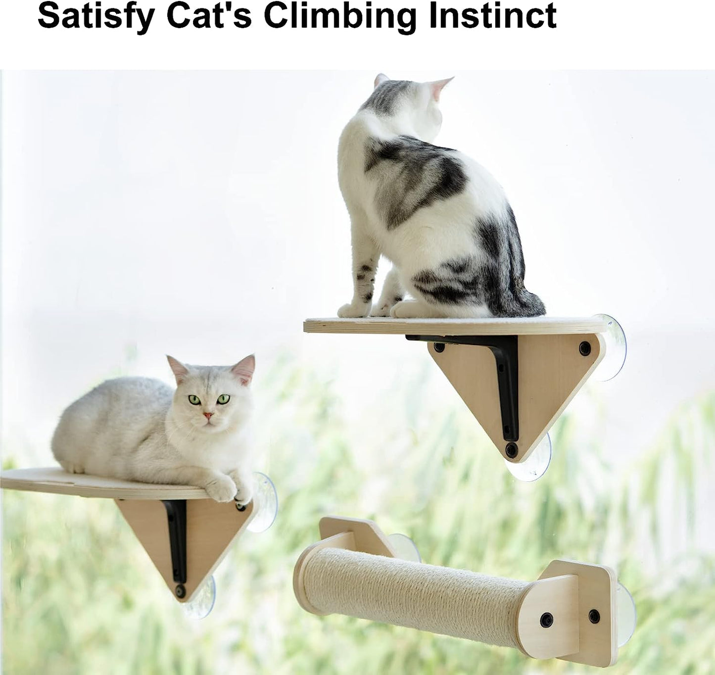 Poleiro da janela do gato