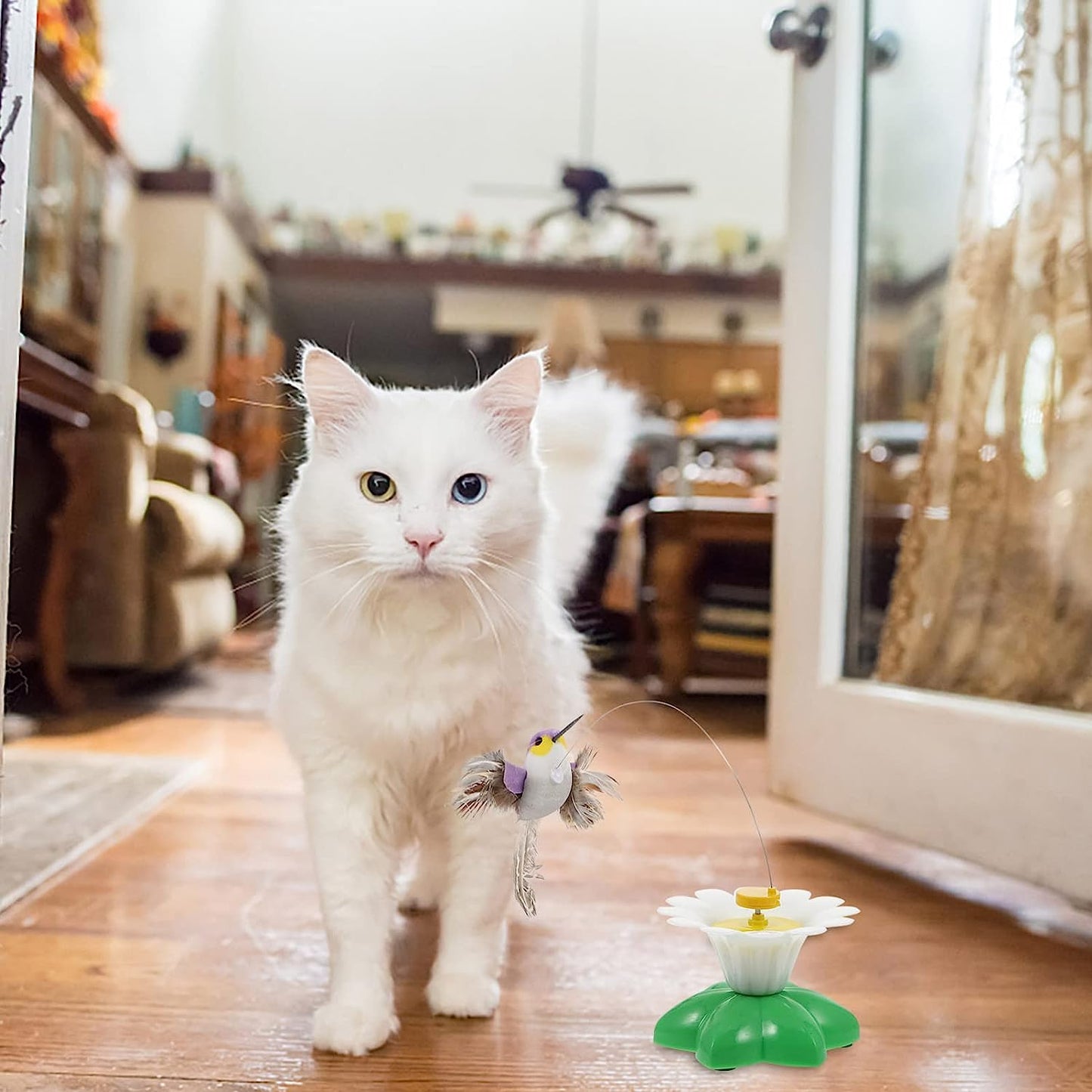 Kitten Plaything Toys