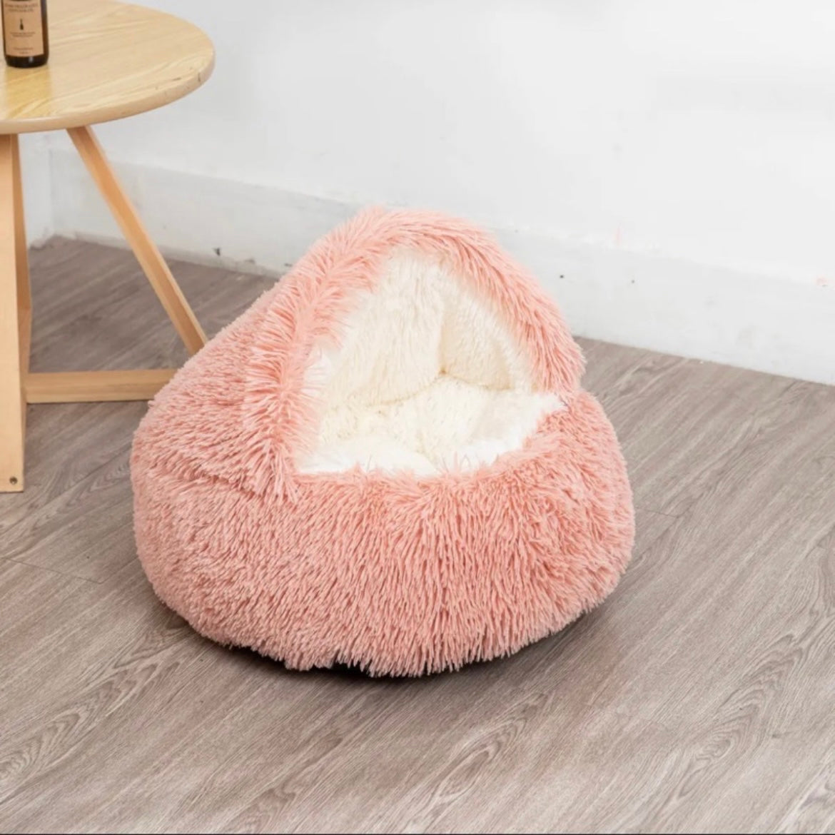 Cat Nest