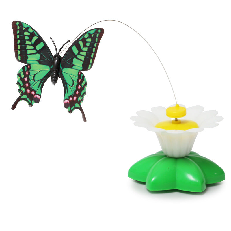 Kitten Plaything Toys