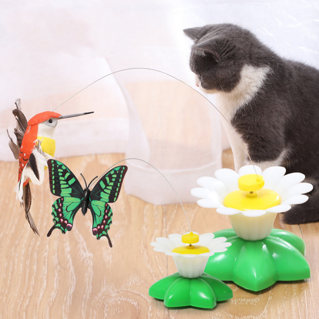 Kitten Plaything Toys