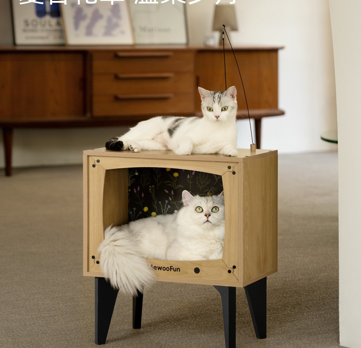 Cat TV Bed