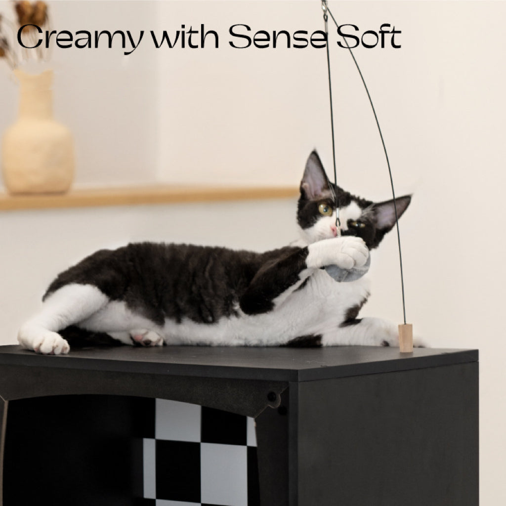 Cat TV Bed