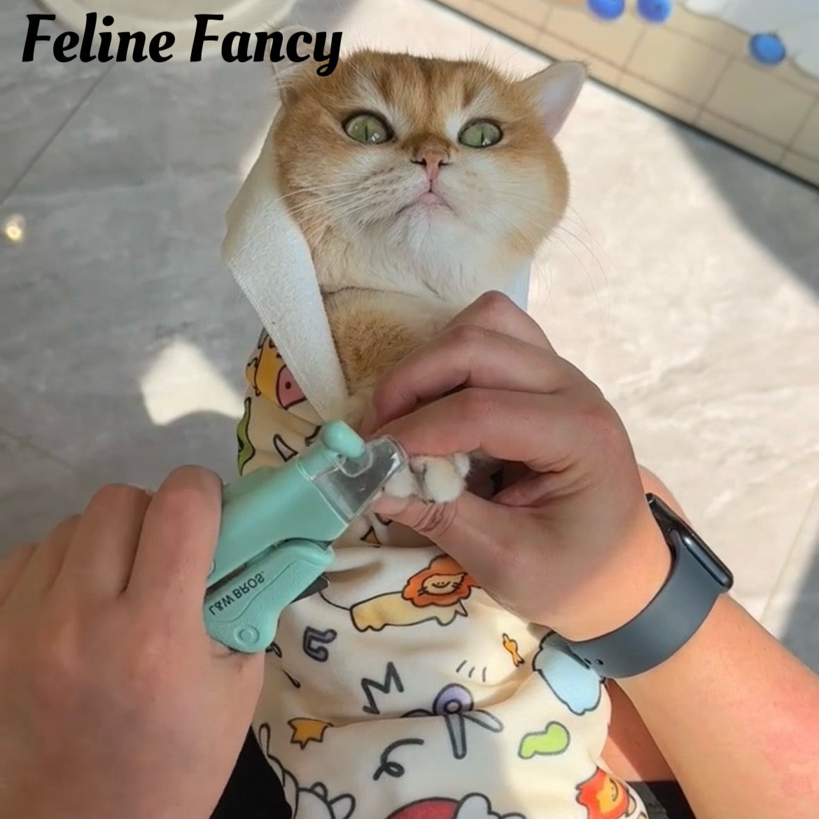 Self-Adherent Cat Grooming Wrap - Escape Proof Restraint for Nail Trimming & Ear Cleaning | Stress-Free Calming Solution