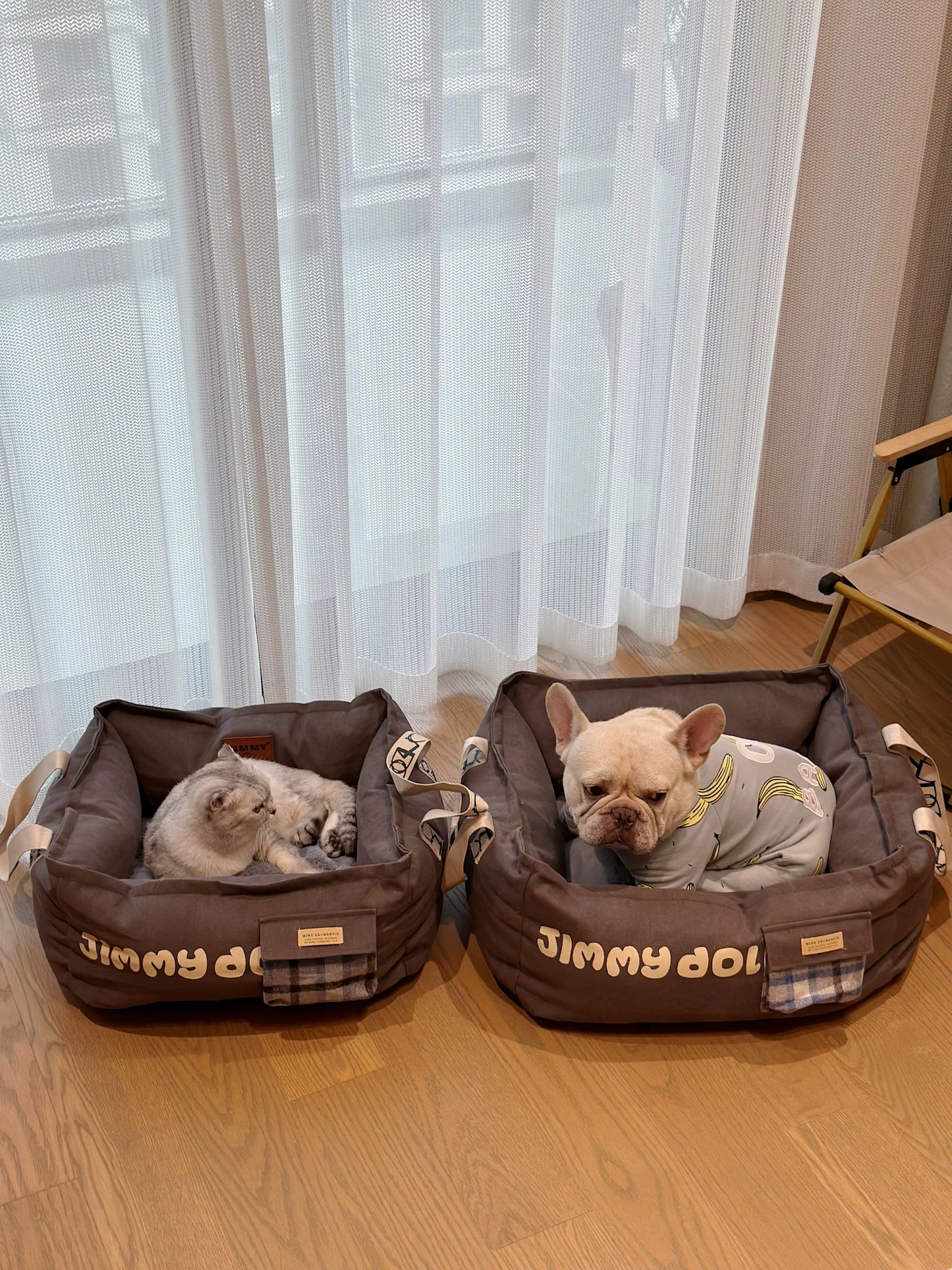 Pet Nest