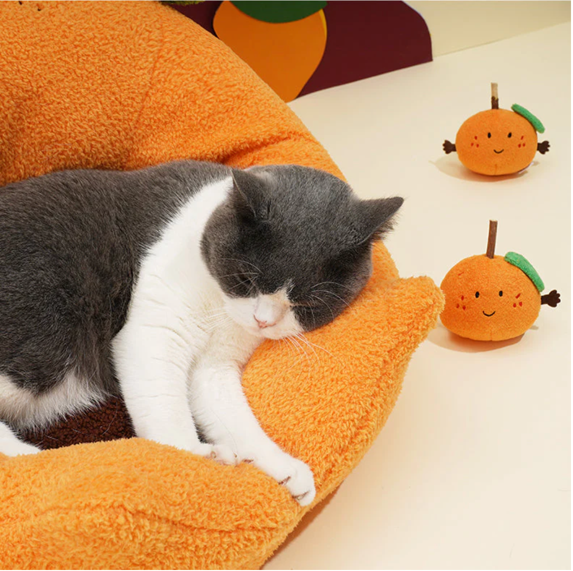 Cat bed