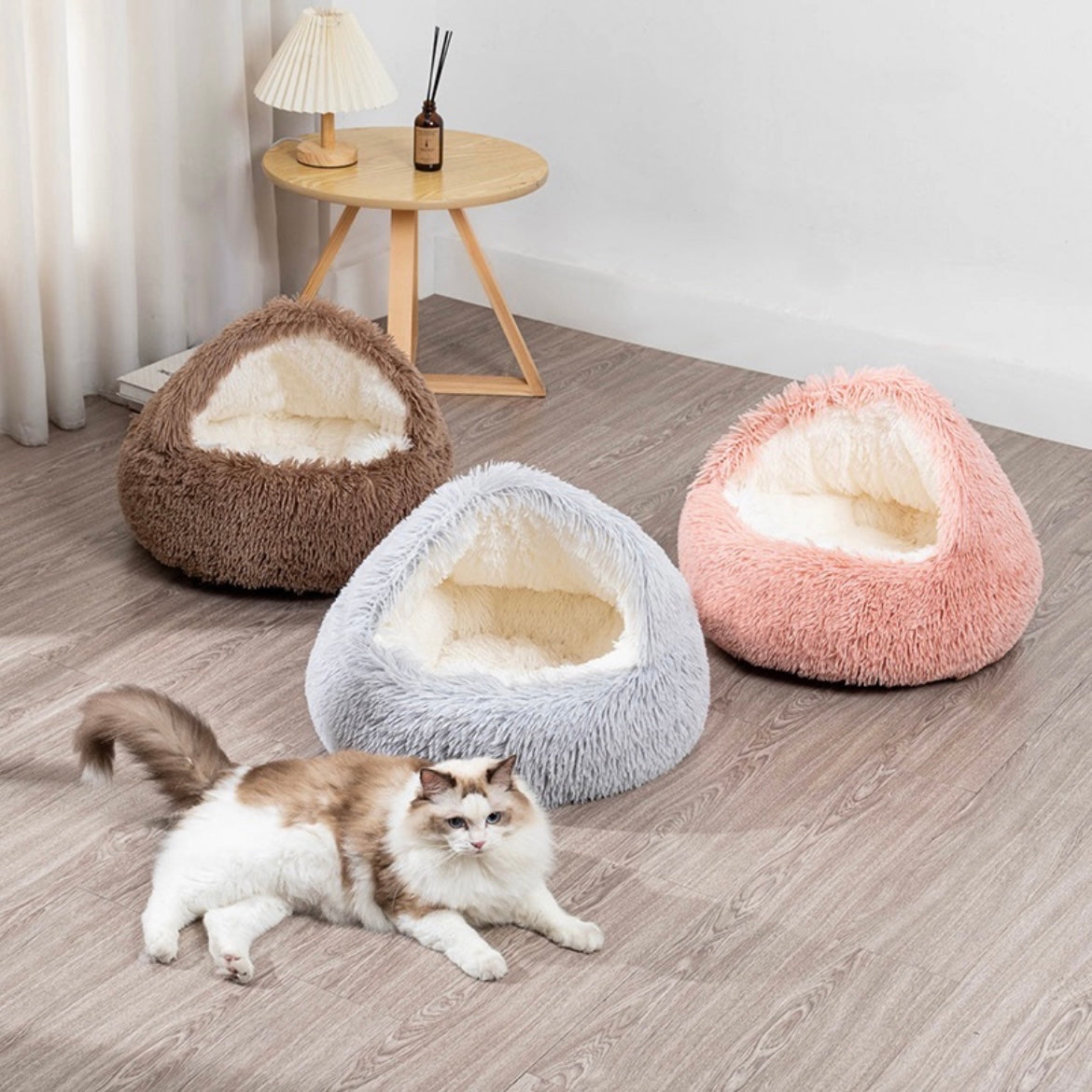 Cat Nest