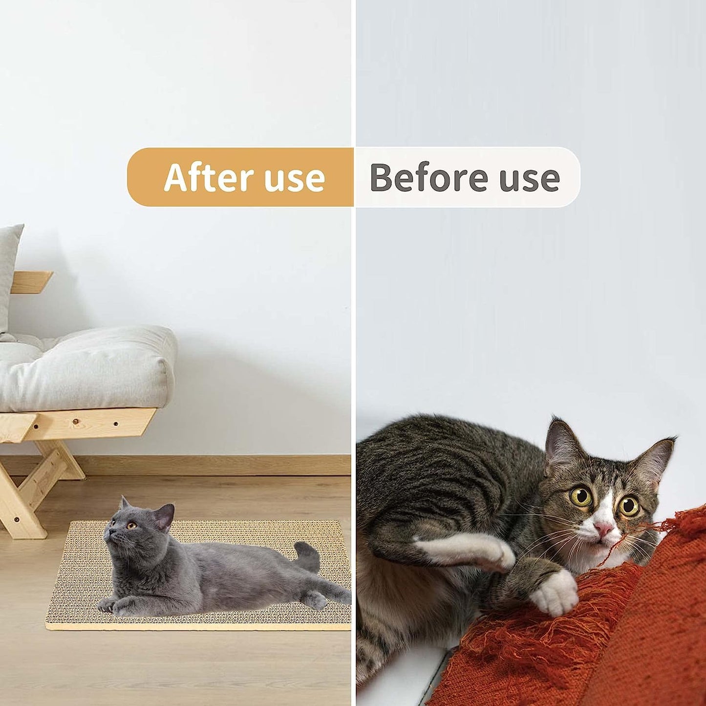 Cat Scratchers Lounge
