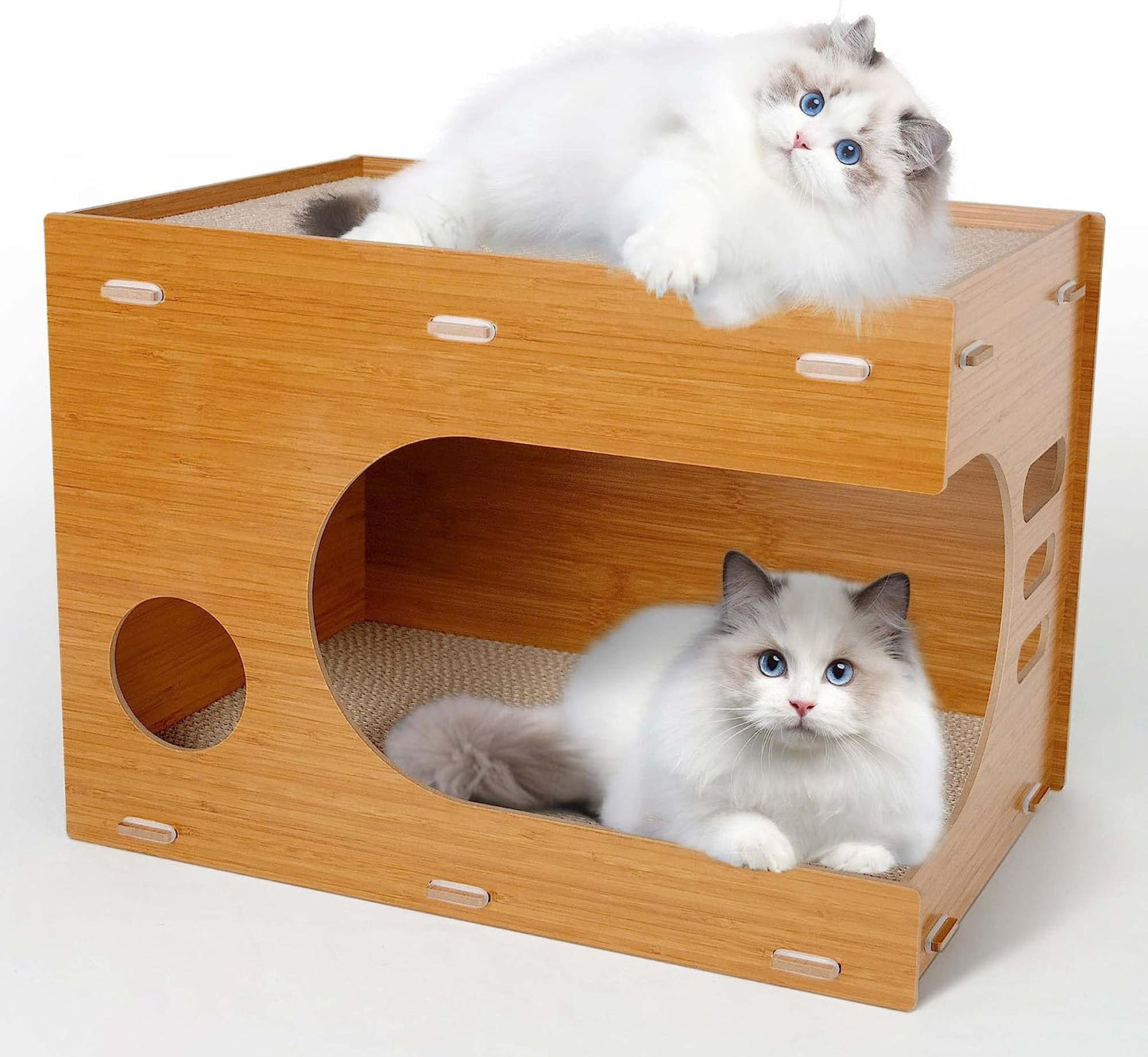 Cat Scratchers Lounge