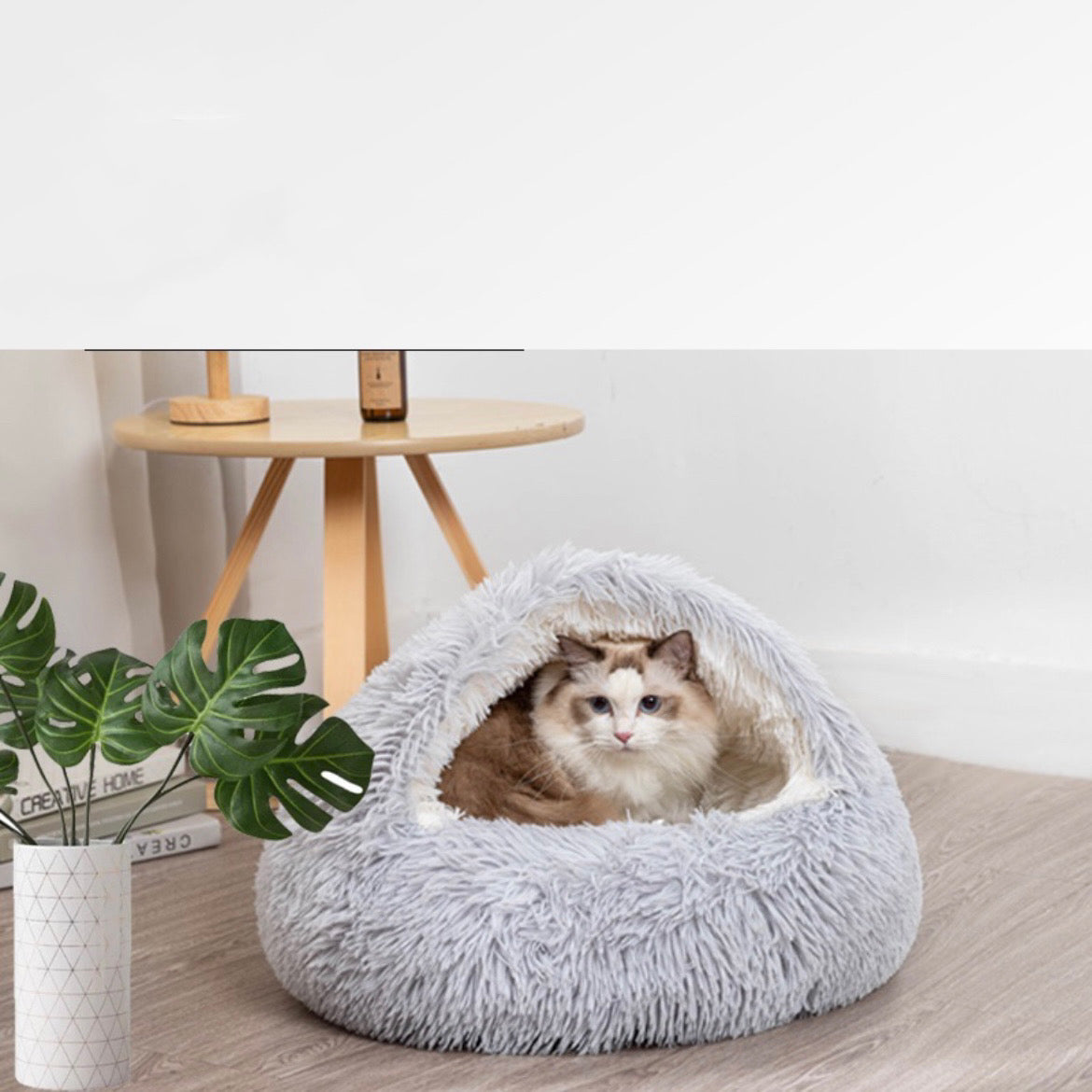 Cat Nest