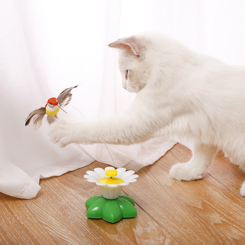 Kitten Plaything Toys