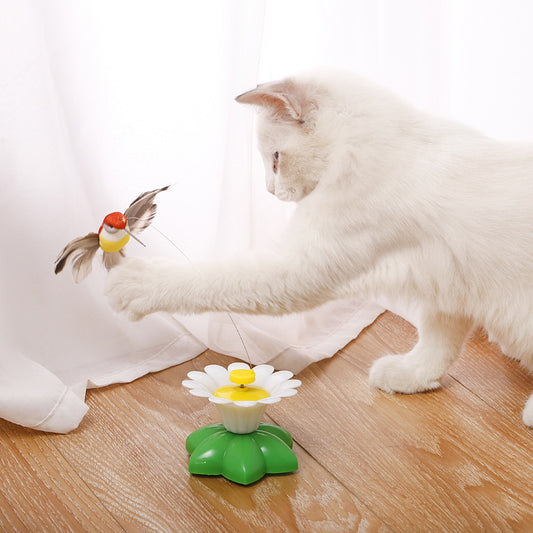 Kitten Plaything Toys