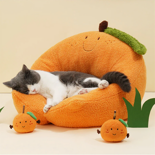 猫ベッド