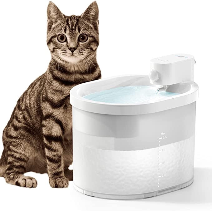Fontaine à eau pour chat